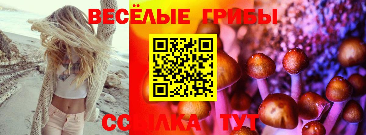 где купить наркотик  Галлюциногенные грибы Magic Shrooms  Галлюциногенные грибы GOLDEN TEACHER  Вход с VPN  Белорецк 