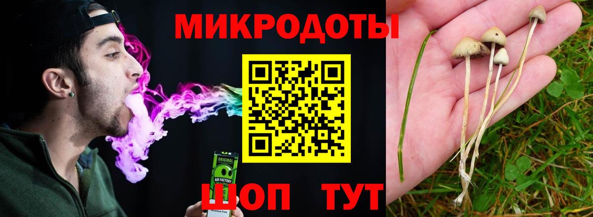 Галлюциногенные грибы GOLDEN TEACHER Белорецк